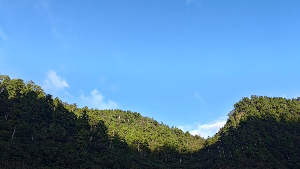 棲松縱走未竟2918379