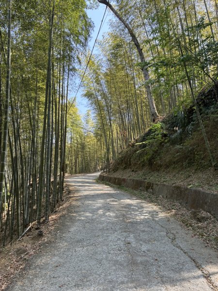 20260322[公車]石壁山&嘉南雲峰3019920