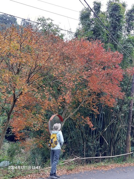 2024-01-01 淡蘭古道北路~燦光寮古徑（瑞芳-九份-牡丹）2391978