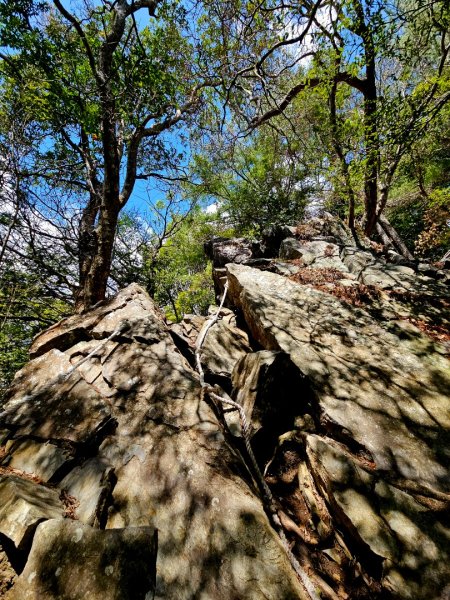 波津加山-谷關七雄(老四)3015179