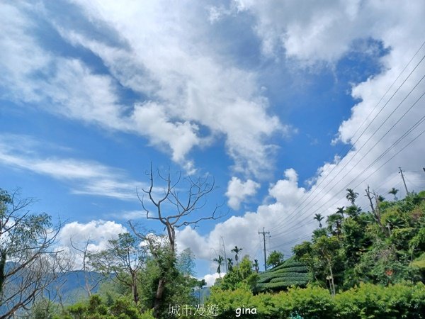 【嘉義梅山】雲霧裊裊似仙境。 瑞太古道 x大風埕觀日峰x油車寮步道2557787