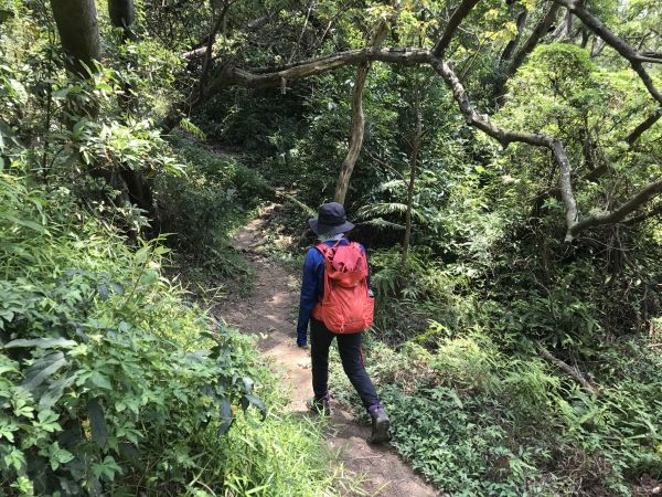 圓山水神社上劍潭山出故宮139177