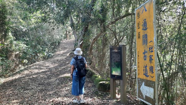 《南投》古道巡禮｜八通關古道社寮線蜈蚣崙段202511152937047
