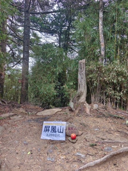 兩颱風之間空擋登屏風山巧遇保育類動物+出大景