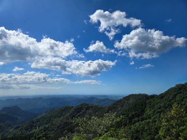 馬武督探索森林、外鳥嘴山2860640