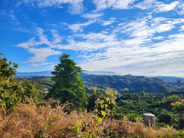 小百岳集起來-阿罩霧山山2180722