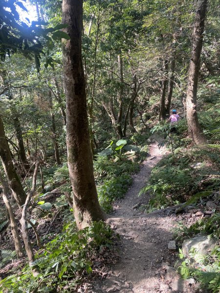 1111120泰安鄉鳥嘴山2672978