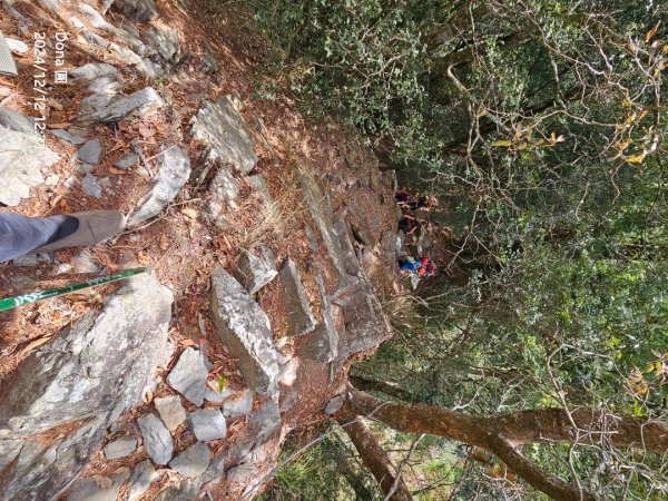 【谷關七雄】波津加(H1771.6m)肉腳配速成功2670472