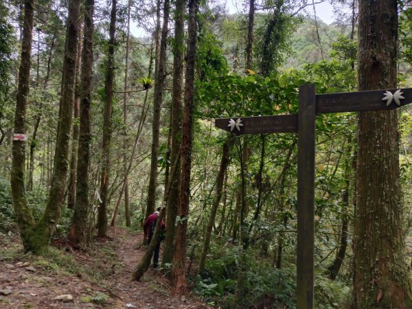 雙溪區石龜福德廟+坪溪古道+梗枋古道+叢雲山+叢雲山北峰+宜1縣縣界O型3019497