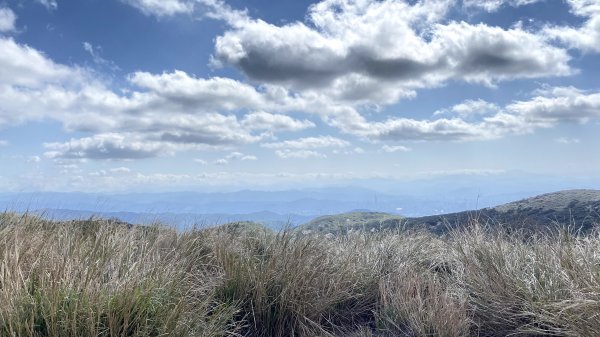 20210130-平等里+陽明山花卉中心+擎天崗竹篙山1439664