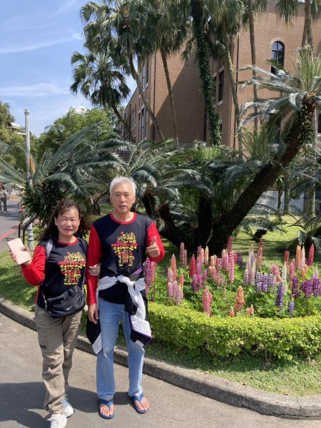 內湖運動中心→勞工保險局→南門市場→台灣電力公司→國立臺灣大學2734260