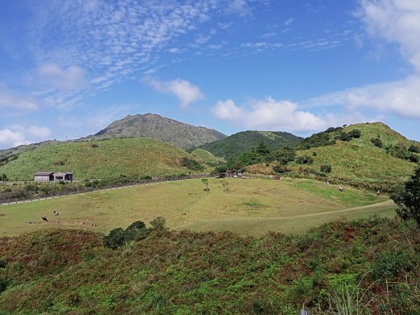 擎天崗→石梯嶺→頂山→風櫃口→天溪園→聖人橋【臺北大縱走第三段】【陽明山東西大縱走活動】1853479