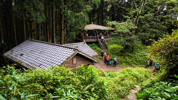 2026-07-26 頂湖大凍山、霹靂山、樂野山3091468