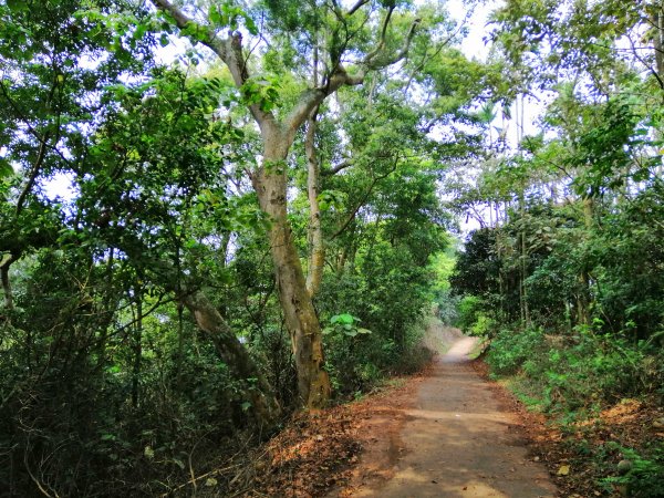 八卦山山脈最高峰。編號48小百岳 橫山754289