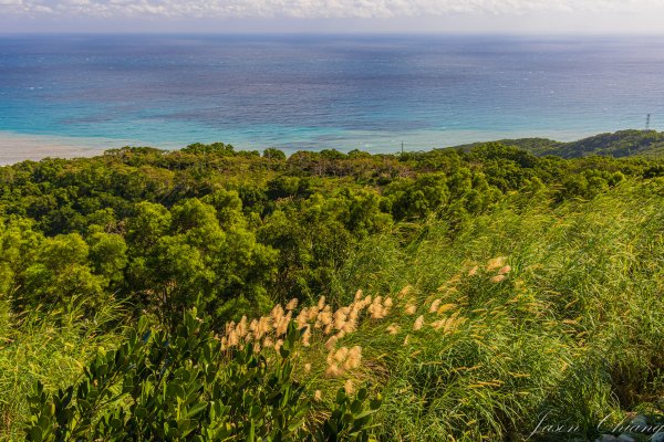 [台東]巴塱衛山2978316