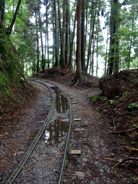 特富野古道90541