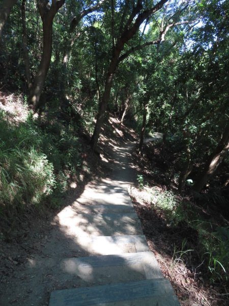 彰化桃源里森林步道+龍鳳谷森林步道2696093