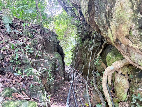 馬胎古道、南坪古道3080417