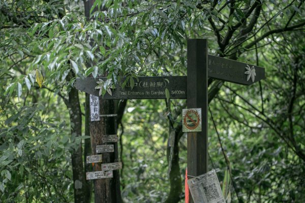 淡蘭古道上的辭職嶺傳說｜崩山坑古道2175686