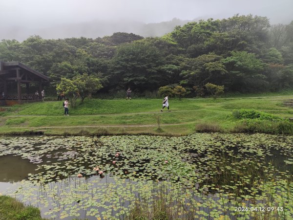【臺北大縱走 1】二子坪到關渡、龍山寺、艋舺夜市3035512