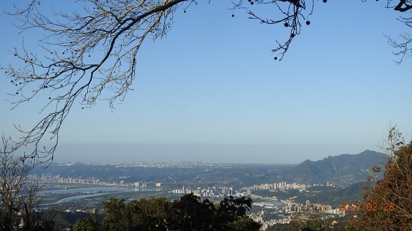 追花是簡單的快樂，賞花是恬淡的幸福。2/282045048