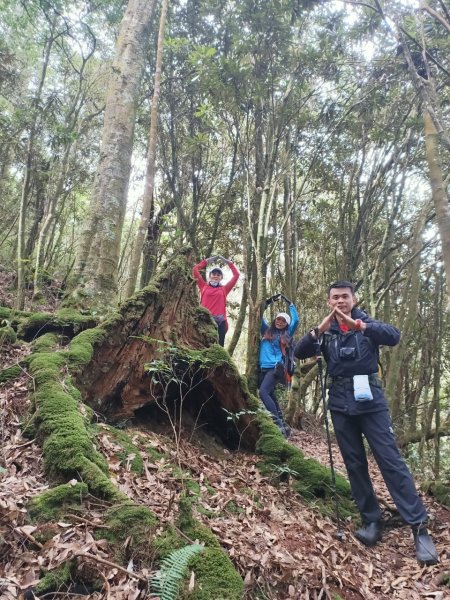 2022年02月13日(彰山協)南投日月潭四兄妹之中級山~大尖山縱走水社大山1613426