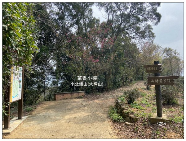 山塘背登山步道 O型路線2761460