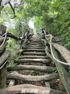 【台中北屯】大坑四號步道x頭嵙山3090946