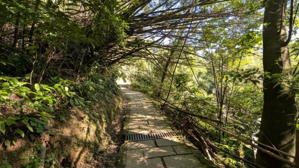南港山步道3122061