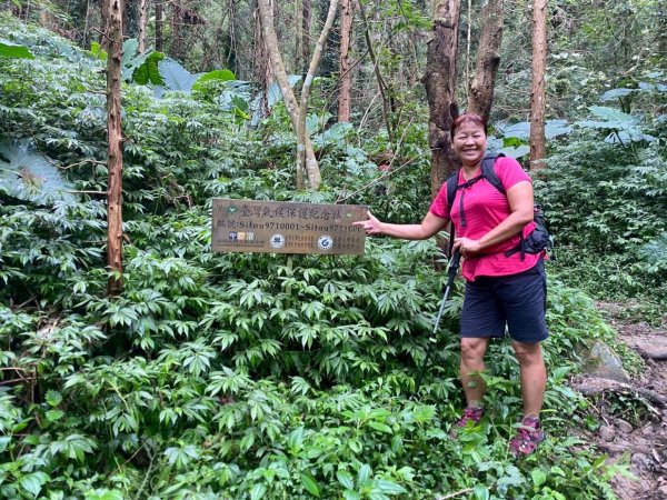 溪頭山、竹崙山、志騰山、妖怪村2877925