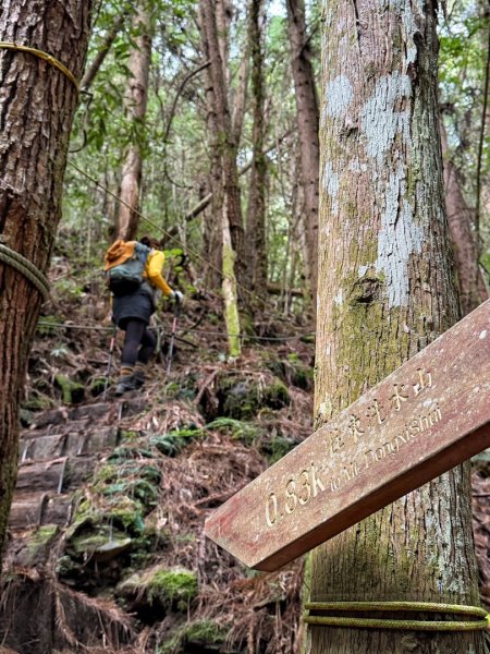 雪霸國家公園 雪見遊憩區 東洗水山2928565