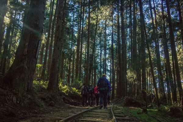 WL 愛旅行【特富野】238653