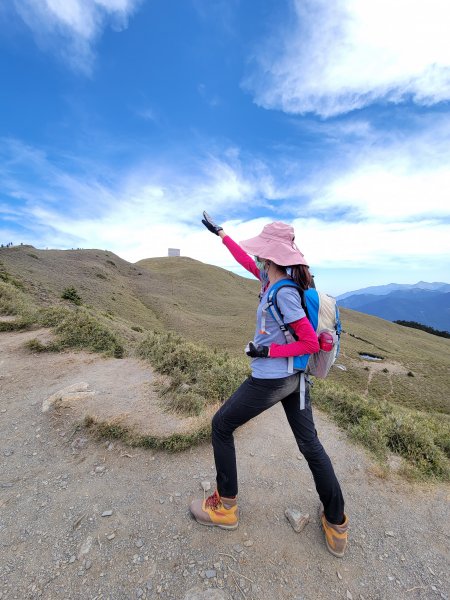 【南投 | 仁愛】合歡北峰賞高山杜鵑