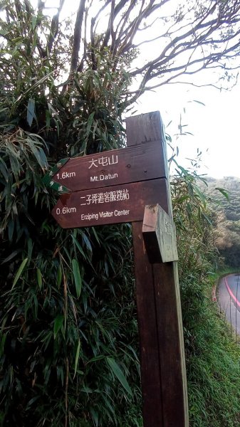 大屯山主峰步道1938095