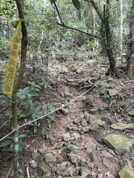 20251108白雲山步道2935187