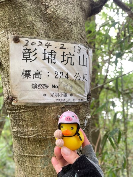 微笑山⛰️線-大棟-二格山-五分山-天上山-鳶山💎12條步道完成💙2834118