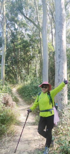 六甲赤山步道 鎮南宮後山步道 772151