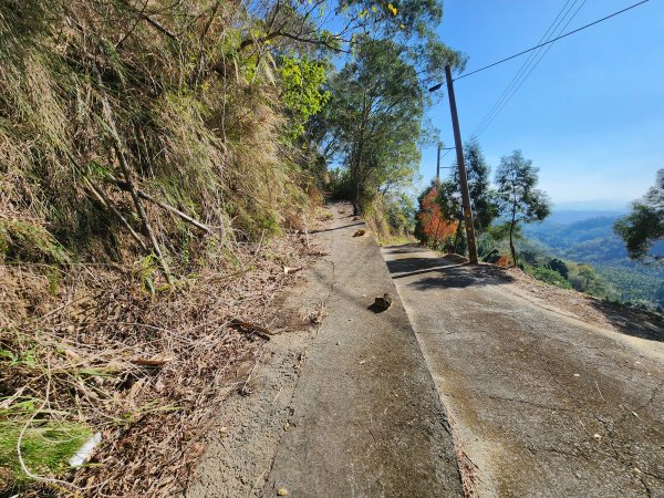 20250114石井山、榴子坑山、後脊山、龍頂山2728596