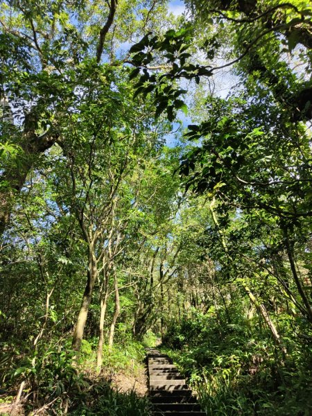 2023.12.14 紅淡山2826440