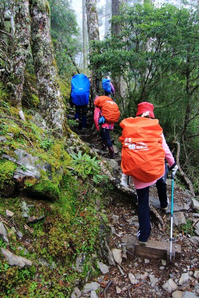 雪山主東峰523713