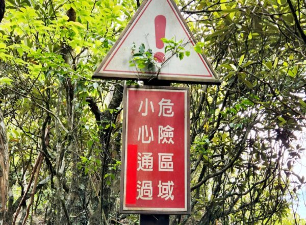 【中級山縱走】最美中級山，鳶嘴西稜縱走（鳶嘴山，醜崠山，長壽山）2741375