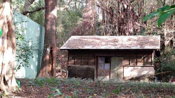 新竹車站巡禮~崎頂到香山2986442