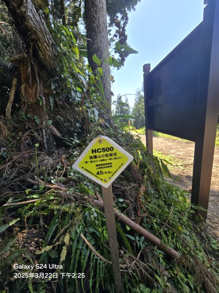 2025-03-22油羅山步道2743443