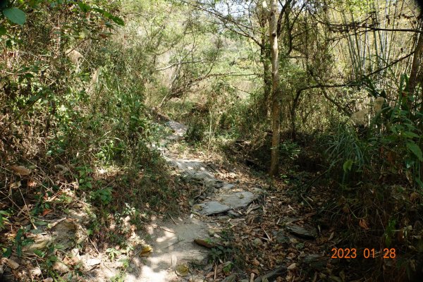 屏東 三地鄉 三地山、三地山南峰2020481