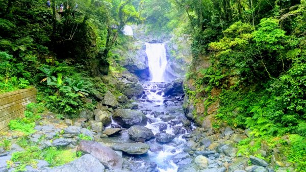 夏季清涼步道：烏來內洞、信賢森林步道588334