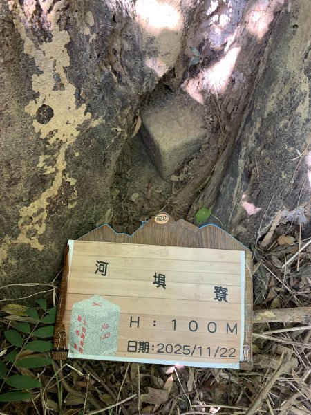 20251122高雄河埧寮2945292