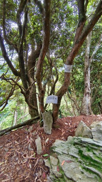 鳶嘴西稜登鳶嘴山2188513