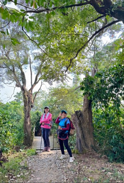 古坑地母廟走荷苞山(登山步道)訪小溪子山2947126