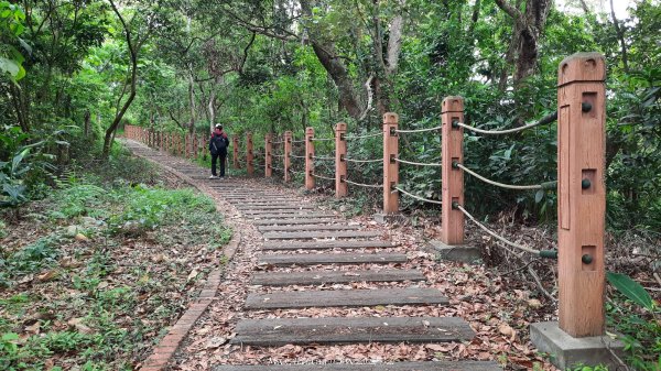 《彰化》古意人文｜員林18觀音O繞大峰巷挑水古道202504122759465