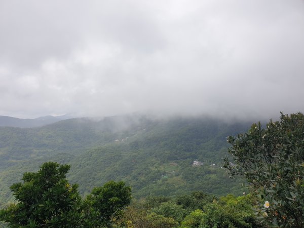 臺北大縱走第四段1515950